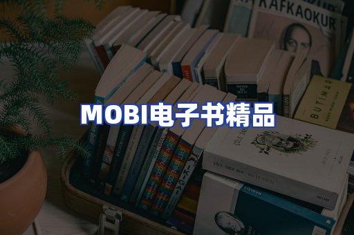 外文电子书产品